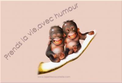 oui soi zen !!! kom moi !!! lol